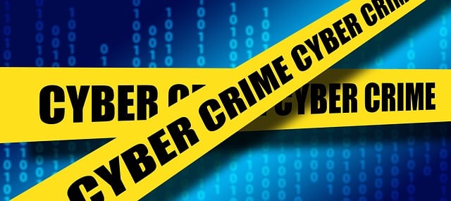 Cyber Crime.  Credit Pixabay