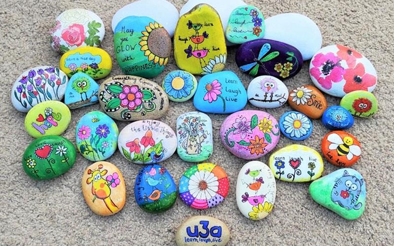 Linda from Seaham u3a painted these stones and wrote the details of how to join the local u3a on the back before scattering them for people to find.